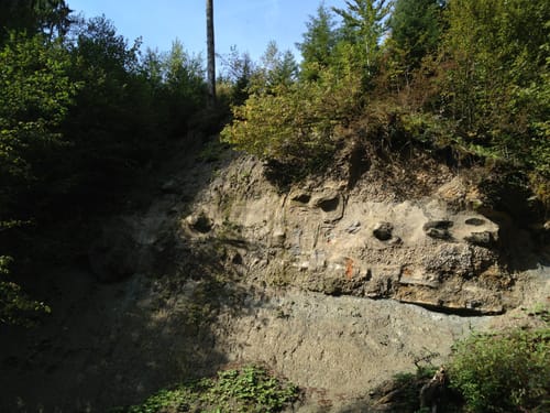 Entlang des Tobelbachs ab Röthenbach im Allgäu