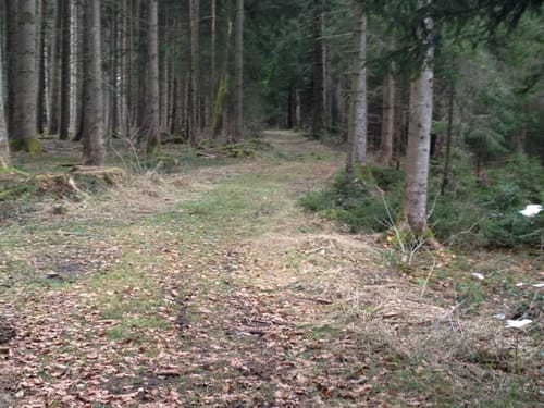Streuobstwanderweg Heimenkirch