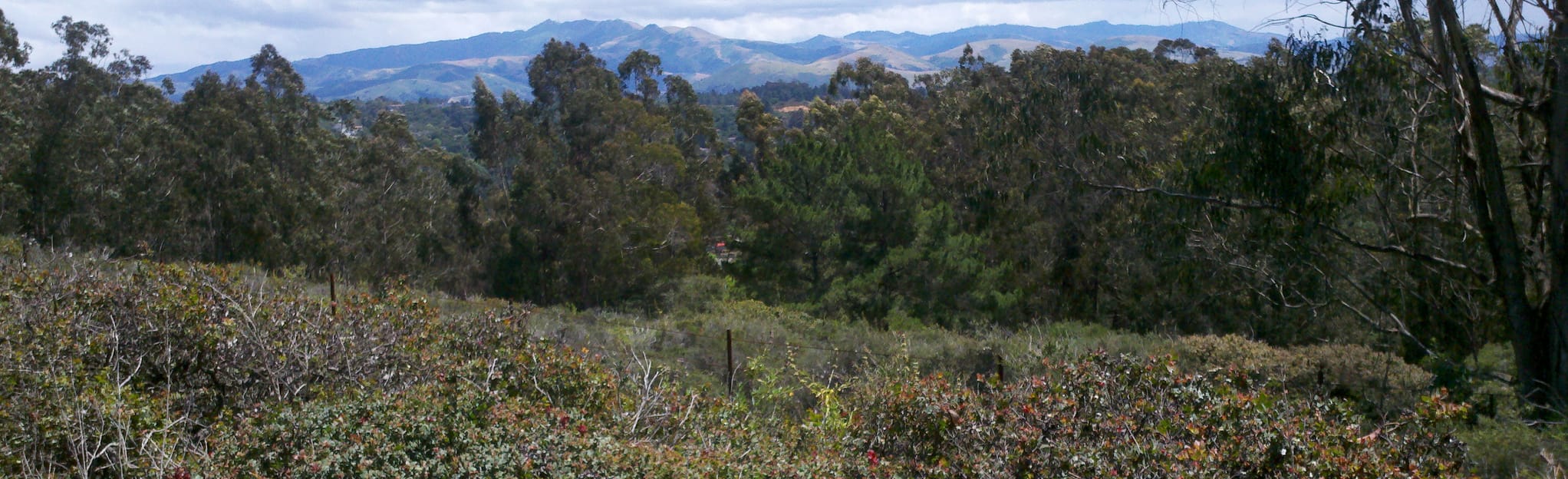 Manzanita County Park Trails Map, Guide California AllTrails