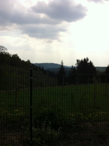 Mountainbiketour Bischofsmühle