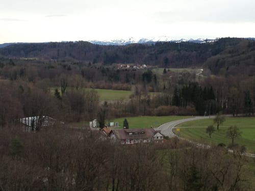 Tettnangerwald ab Laimnau