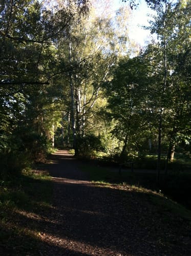 Erlengrabenteich Runde