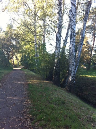 Erlengrabenteich Runde