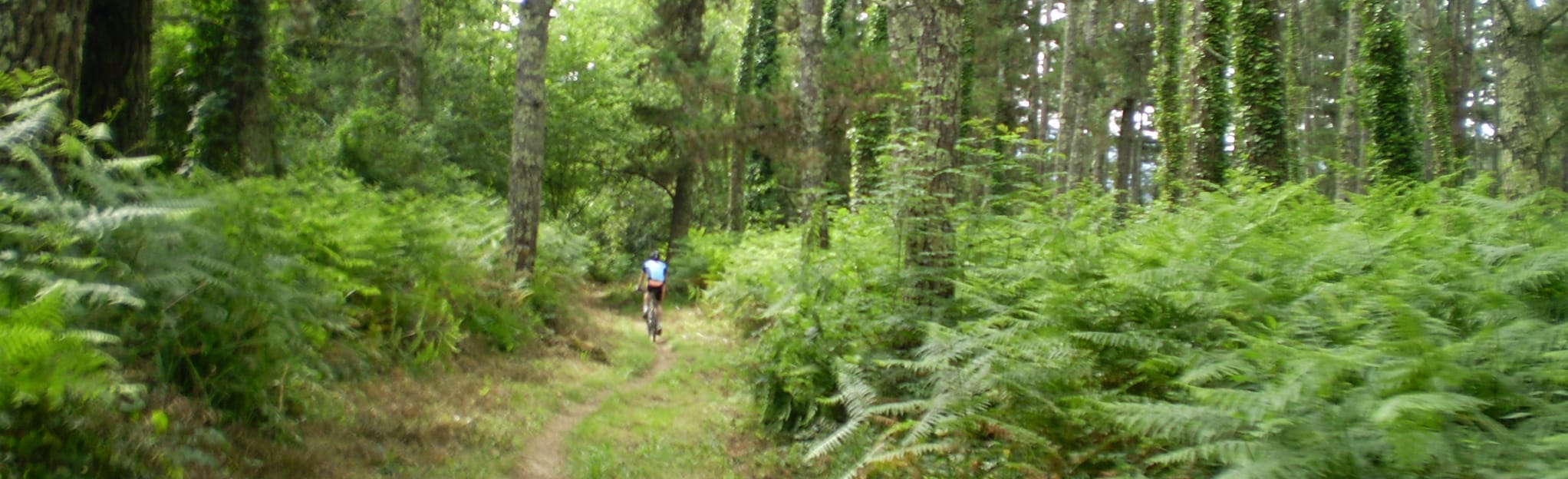Mendata - Durango, Biscay, Spain - Map, Guide | AllTrails