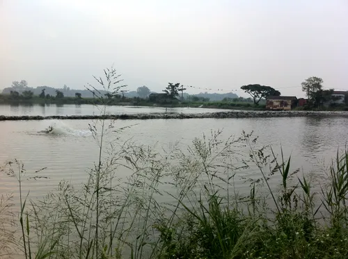 Fisherman in Yuen Long Hong Kong