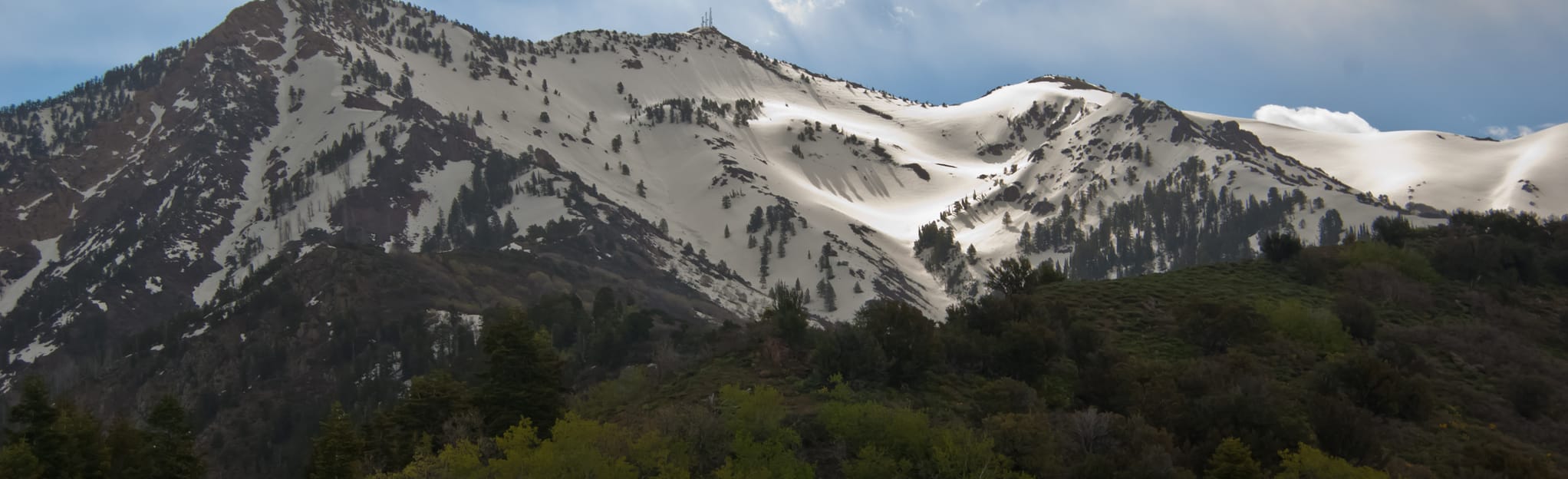 Malans Peak Hike from 29th St Trailhead: 753 Reviews, Map - Utah ...