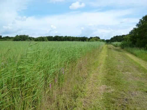 10 Best Long Trails In Schiermonnikoog National Park | AllTrails