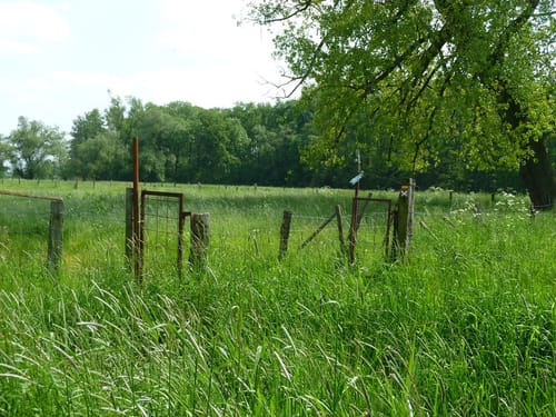 Maas-Niederrheinpad Etappe 10: Geldern - Wachtendonk