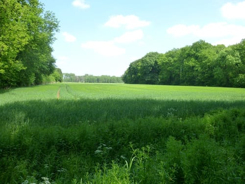 Maas-Niederrheinpad Etappe 10: Geldern - Wachtendonk