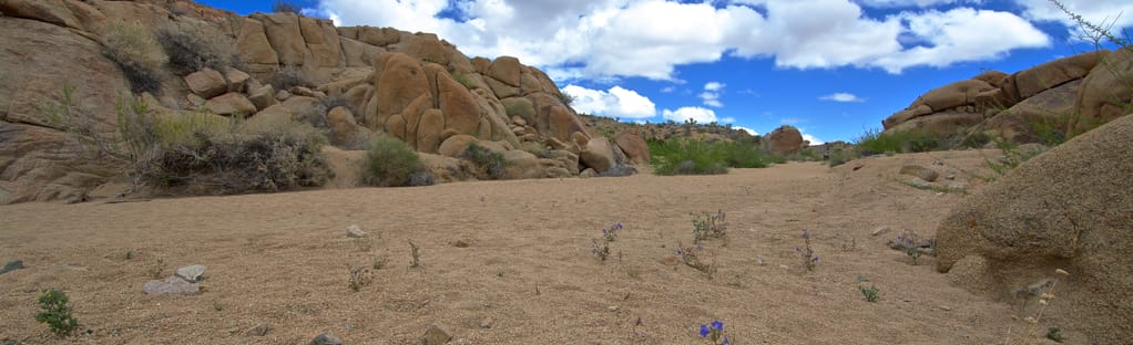 cottonwood campground joshua tree address