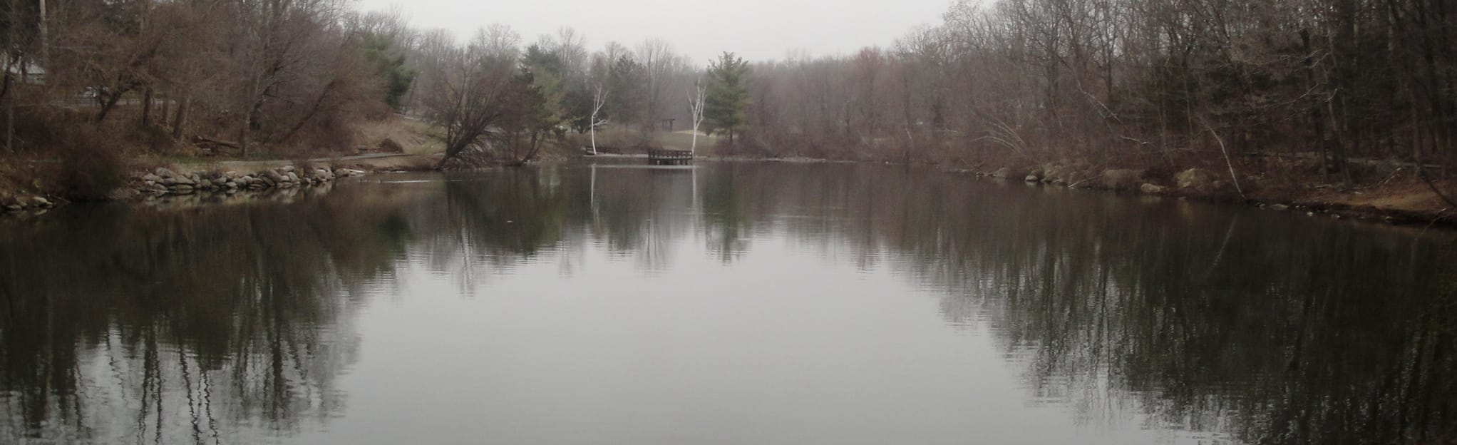 Willow Tree Park, New York 18 Reviews, Map AllTrails