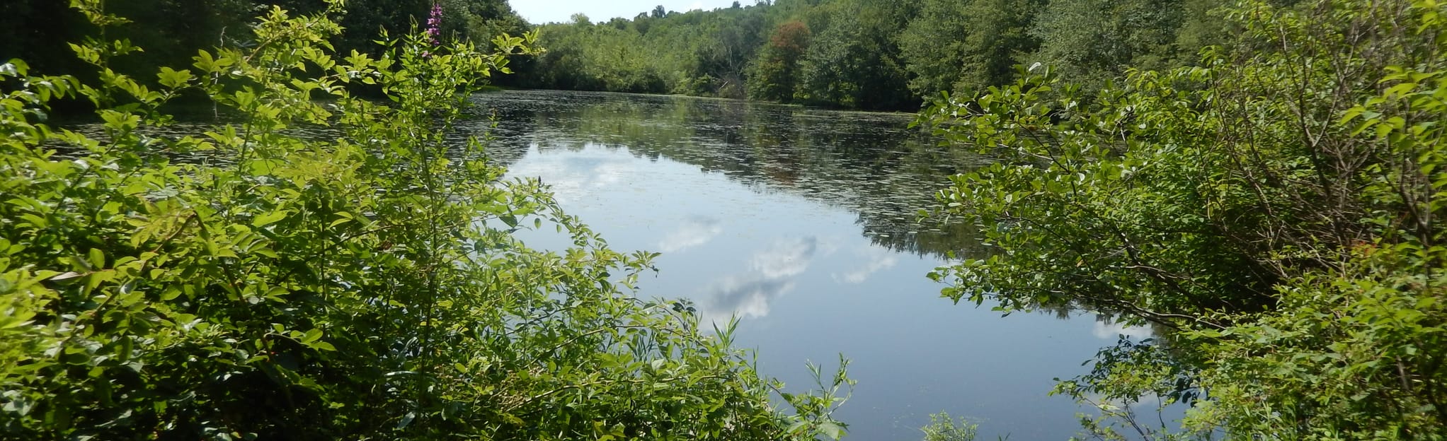 Nimham Mountain Blue Trail Loop, New York 40 Reviews, Map AllTrails