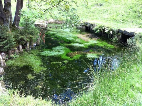 Bad Orb Rundwanderweg 4 (Bildeichenweg)
