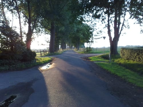 Steinhude - Düdinghausen - Idensen