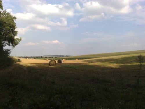 Gehrdener Berg 