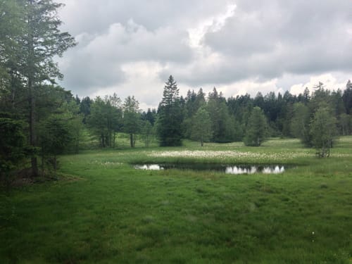 Westallgäuer Wasserwege