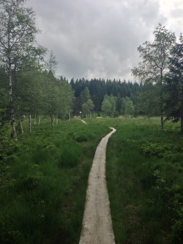 Westallgäuer Wasserwege
