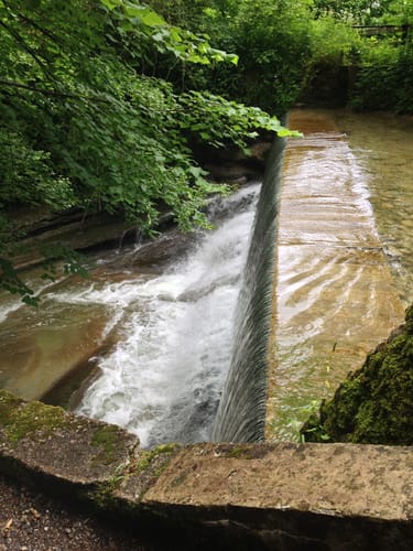 Westallgäuer Wasserwege
