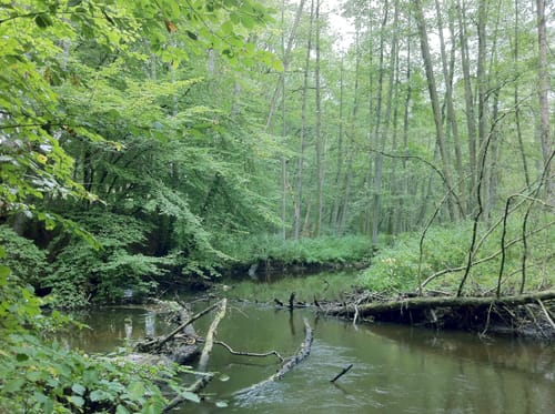 Grosshansdorf-Witzhave-Altona