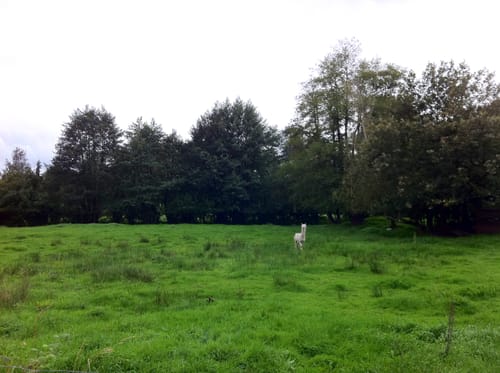 Grosshansdorf-Witzhave-Altona
