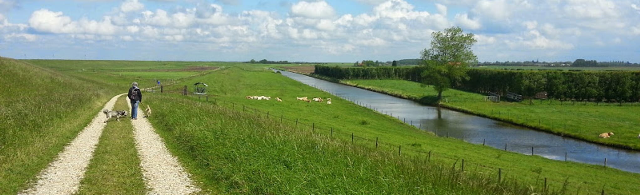 Goes ZuidBeveland Yerseke Bicycle Trail, Zeeland, Netherlands 3