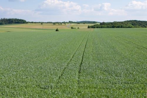 Gräfenberg - Eberhardsberg - Kasberg