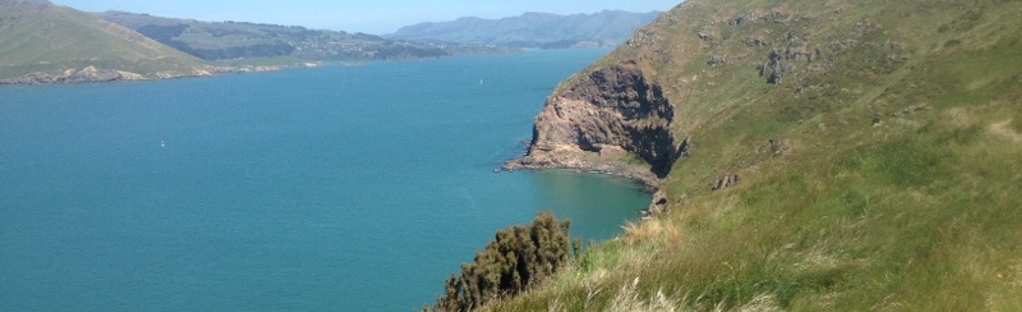 Crater Rim Walkway to Godley Head Walkway: 30 Reviews, Map - Canterbury ...