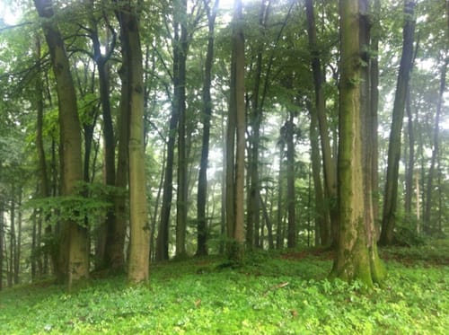Hochwald Radroute