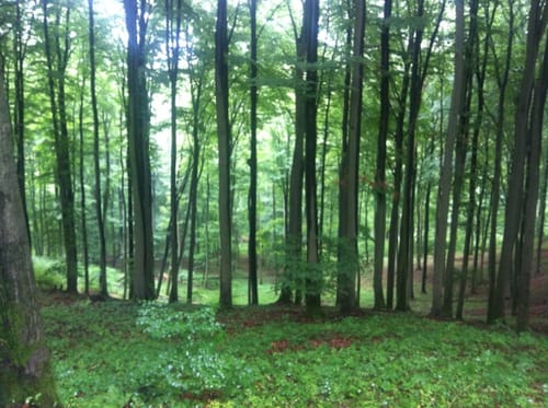 Hochwald Radroute