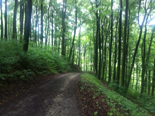 Hochwald Radroute