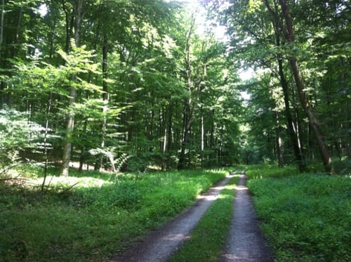 Alter Pilgerweg