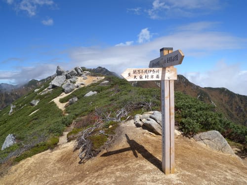 福トチ沢 - hikes and trails to get you there | AllTrails