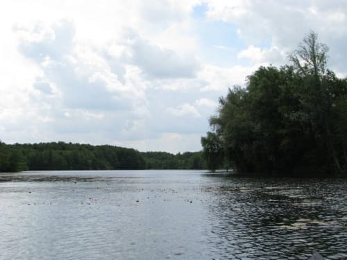 Lauerholz nach Lübeck-St. Jürgen