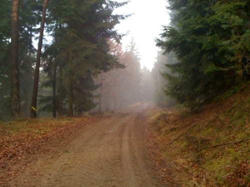 Pfaffensteiner Rundweg (Wd02)