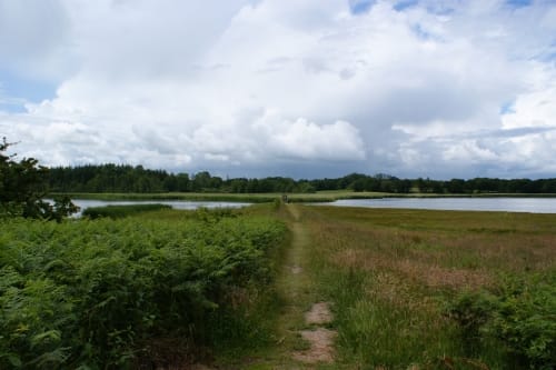 Paddeltour: Haddebyer und Selker Noor mit Schlei