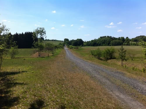 Von der Schillerwiese zu Burgruine Plesse