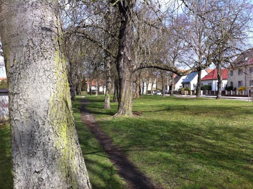 Kulkwitzer See