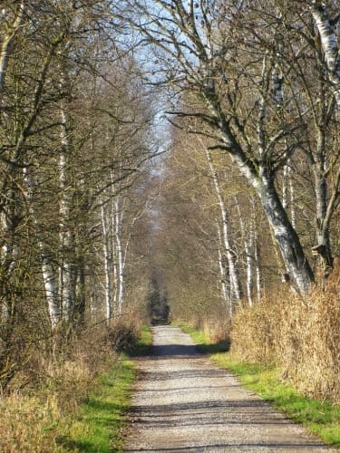 Erlebnispfade Benediktbeuern