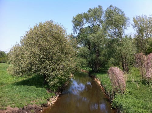 Durch die Parthendörfer bei Leipzig