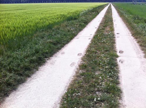Thekla nach Lützschena