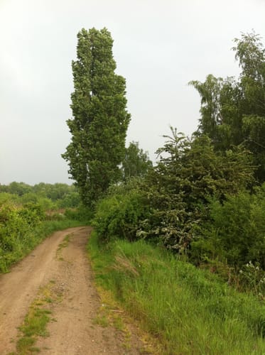 Thekla nach Lützschena