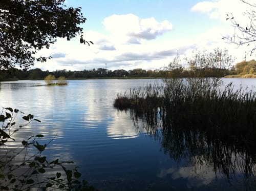 66-Seen-Rundweg Etappe 4: Henningsdorf - Wensickendorf