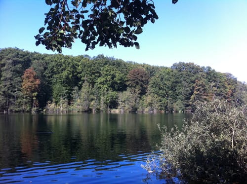Vom Schlachtensee zum Grunewald