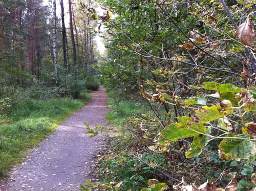 Hirschgarten Rundweg