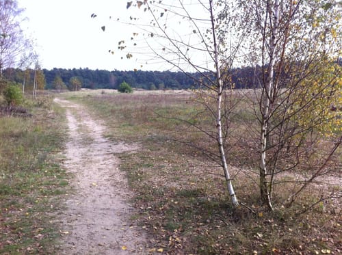 Hirschgarten Rundweg