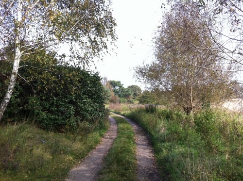 Hirschgarten Rundweg