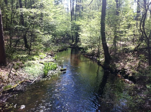 Von Borgsdorf nach Birkenwerder durchs Briesetal