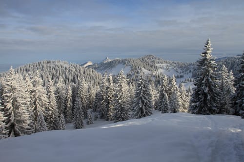 Die Hochries
