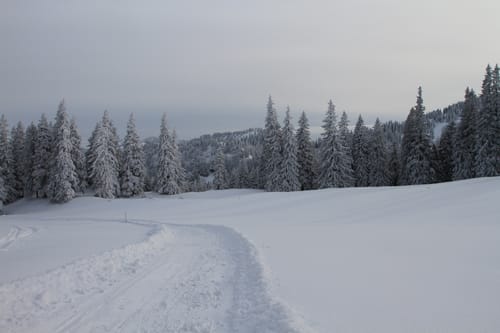 Die Hochries