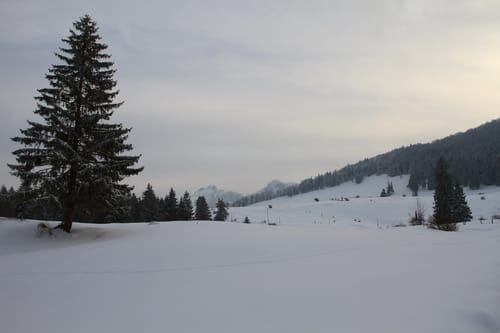 Die Hochries